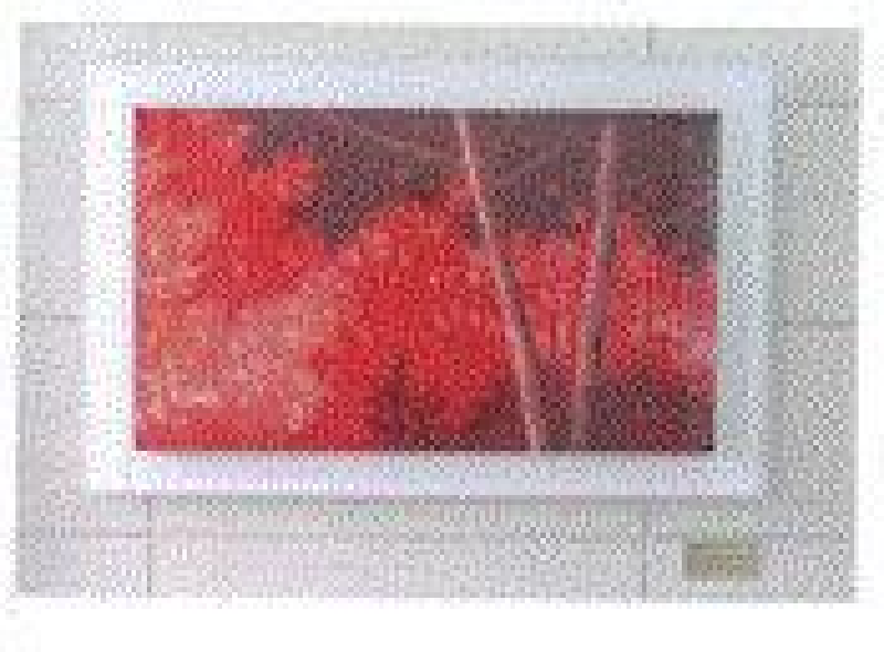 회화, 주태석, 자연, 이미지