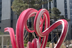후면 이미지