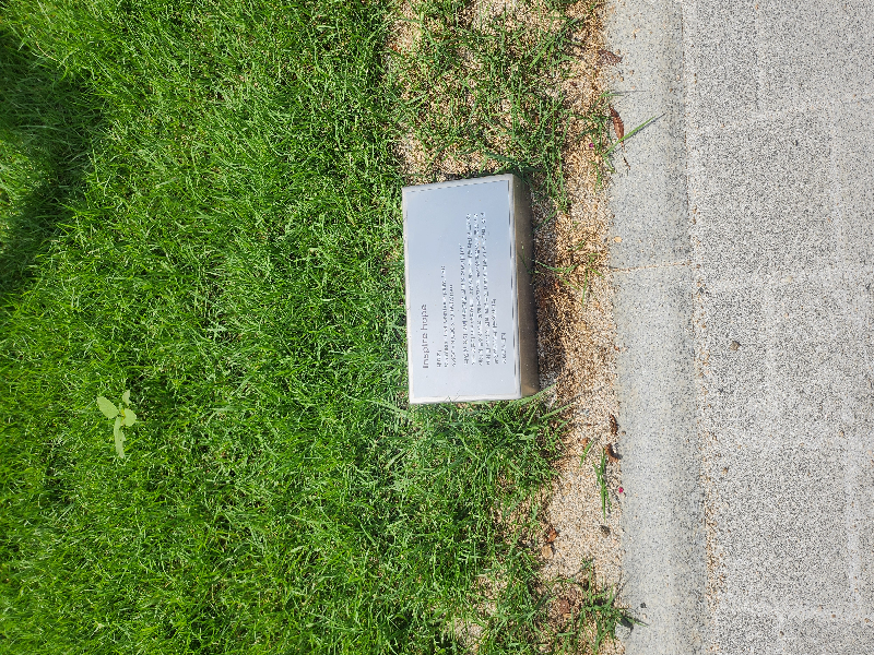 조각, 채미지, Inspire hope