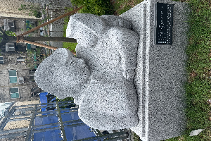 전경 이미지