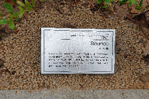 표석 이미지