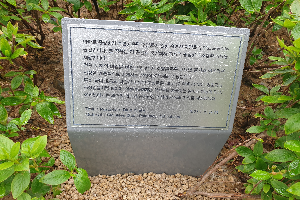 표석 이미지