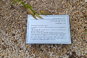 표석 이미지