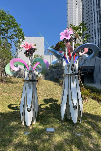 전면 이미지