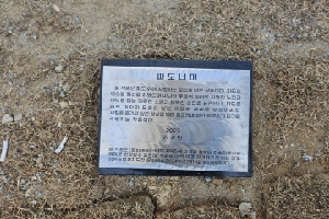 전면 이미지