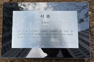 전면-우 이미지