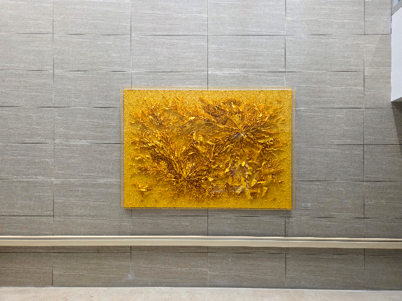 회화, 김지아나, Yellow inside yellow 