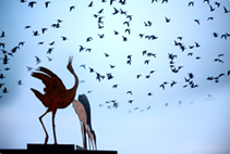 2009 마을프로젝트 - 문화 소외 마을 가꾸기'철원' 이미지